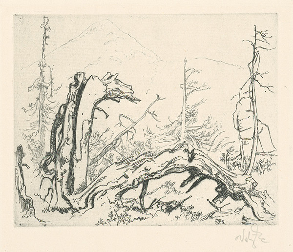 Jaroslav Vodrážka – Vyvrátený peň 