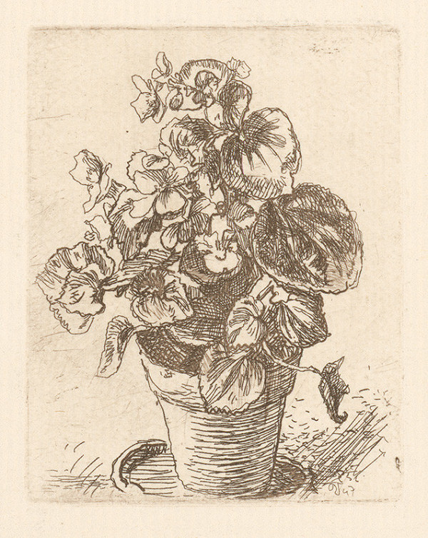 Jaroslav Vodrážka – Primula 