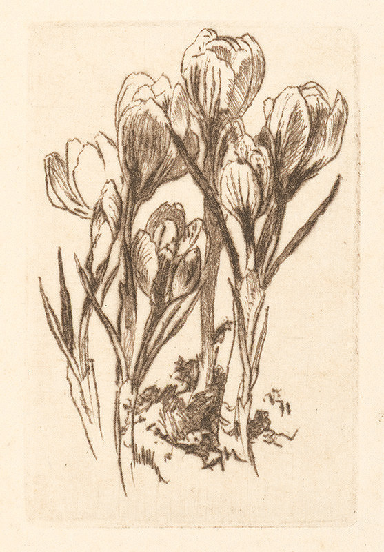 Jaroslav Vodrážka – Jesienky 