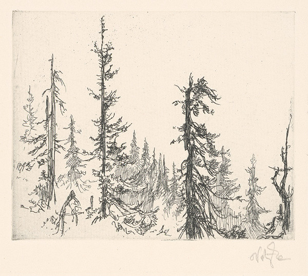 Jaroslav Vodrážka – Na stráni 