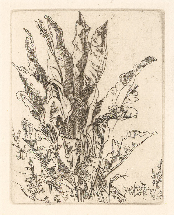 Jaroslav Vodrážka – Listy 