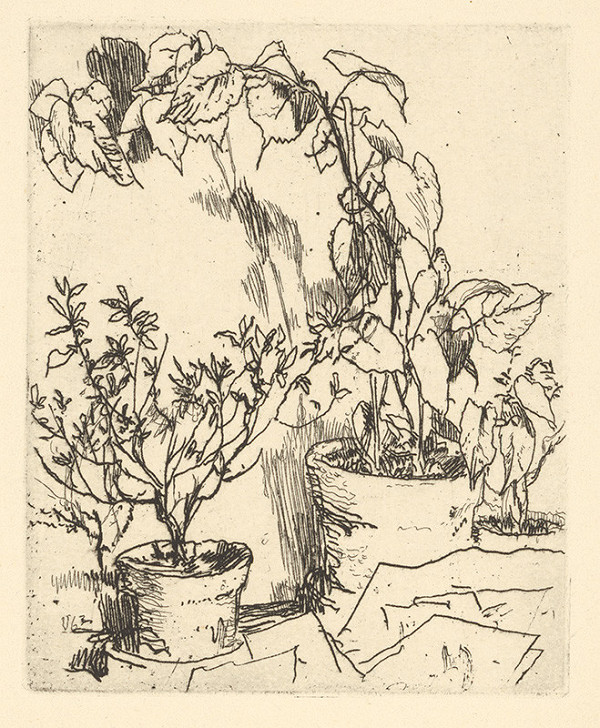 Jaroslav Vodrážka – Kvetináče 