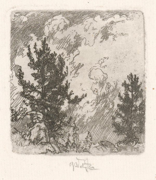 Jaroslav Vodrážka – Stromčeky 