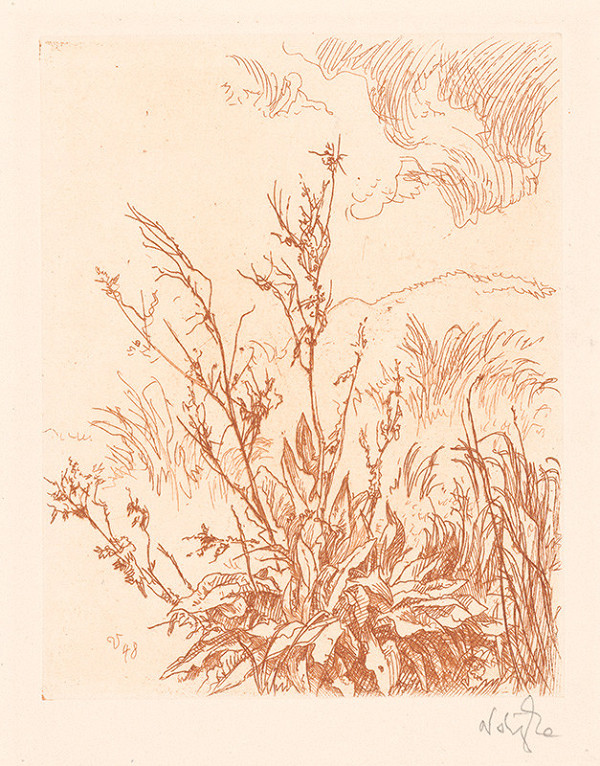 Jaroslav Vodrážka – Rastlinná štúdia II. 