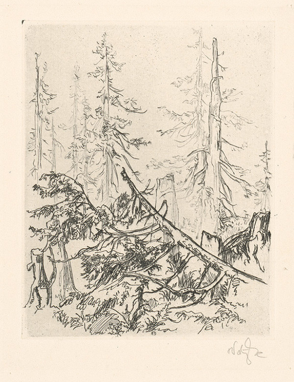 Jaroslav Vodrážka – Zlomený vrcholec 