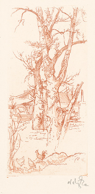 Jaroslav Vodrážka – Sliepky za domom 