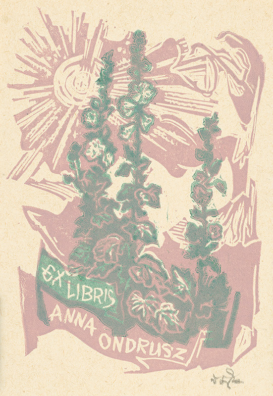 Jaroslav Vodrážka – Ex libris Anna Ondruszová 