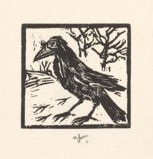 Jaroslav Vodrážka – Havran 