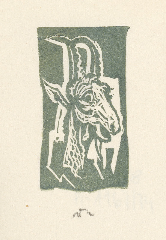 Jaroslav Vodrážka – Hlava capa 