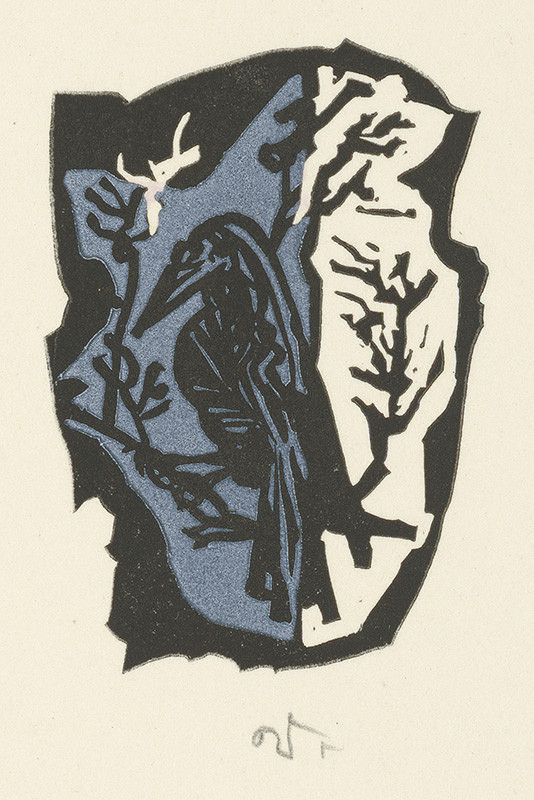 Jaroslav Vodrážka – Havran 