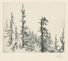 Jaroslav Vodrážka – Na horách III. 