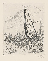 Jaroslav Vodrážka – Na horách V. 