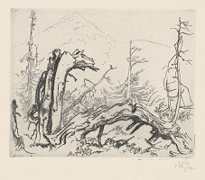 Jaroslav Vodrážka – Na horách VII. 