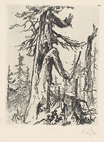 Jaroslav Vodrážka – Na horách IX. 