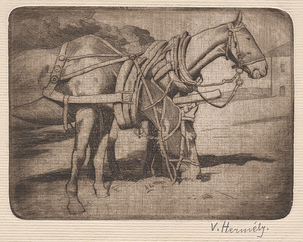 Viktor Hermély – Kone 