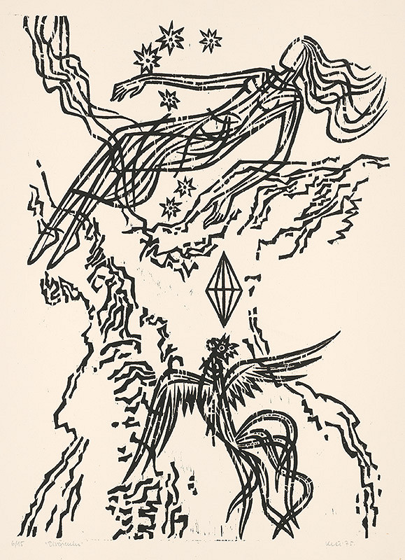 Fero Kráľ – Divožienka 