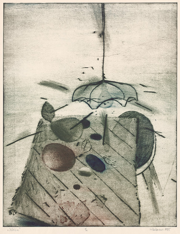 Marcel Dúbravec – Zátišie 