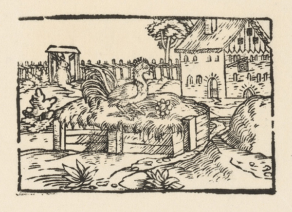 Nemecký grafik z 2. polovice 16. storočia – Kohút na smetisku