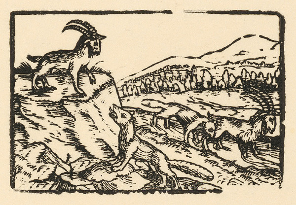 Nemecký grafik z 2. polovice 16. storočia – Kamzík a líška 