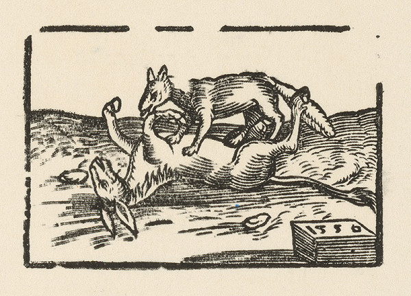 Nemecký grafik z 2. polovice 16. storočia – Trinásta fabula o chorom somárovi a o vlkovi 