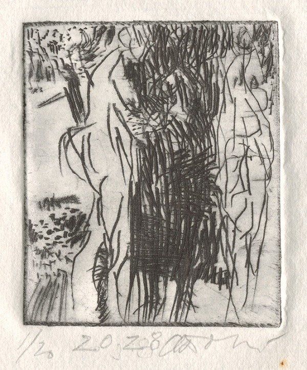 Andrej Doboš – Zo záznamov VIII 