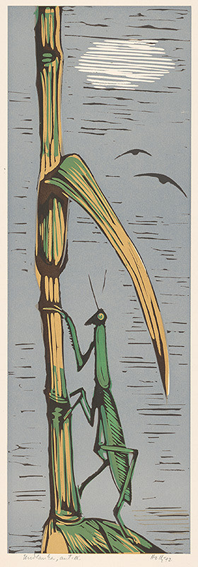 Anton Hollý – Kudlanka 