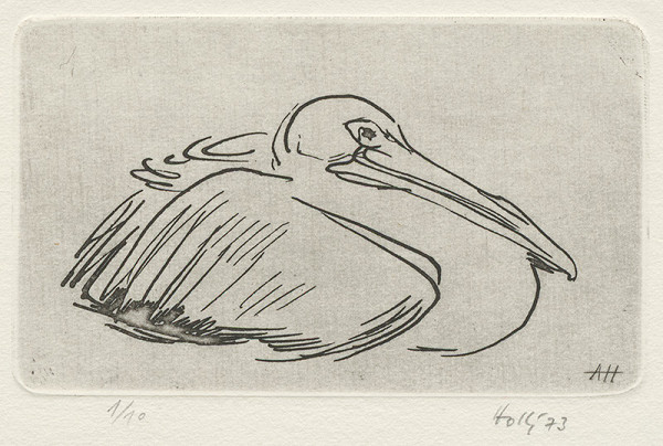 Anton Hollý – Pelikán 