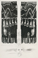 Gabriel Štrba st. – Lavína 