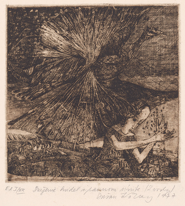 Dušan Kállay – Sneženie krídel v jarnom úsvite 