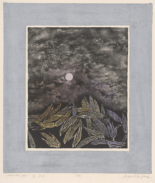 Viera Gergeľová – Kukuričné pole 