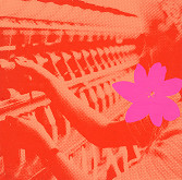 Peter Cibula – Číslo stroja 40 III. 