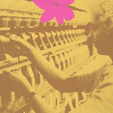 Peter Cibula – Číslo stroja 40 IX. 