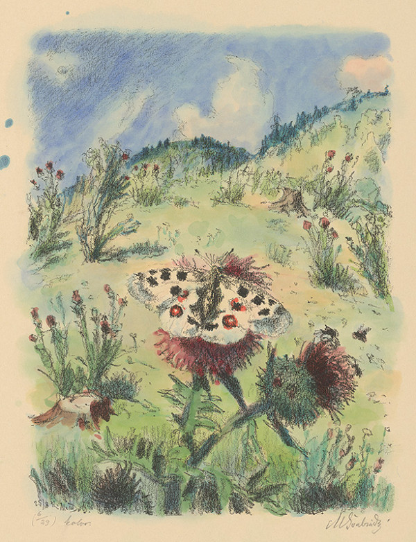 Max Švabinský – Parnassius Apollo 