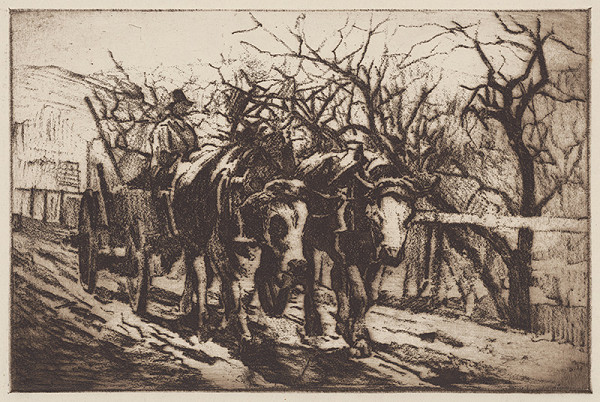 Viktor Hermély – S povozom 