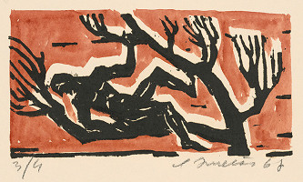 Ernest Zmeták – Muž na strome 