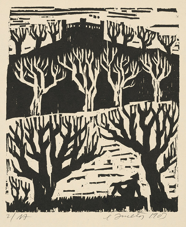 Ernest Zmeták – Bratislavský hrad 