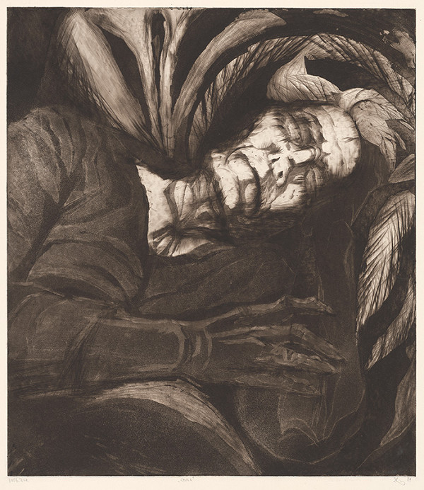 Alena Dzianová – Spiaca 