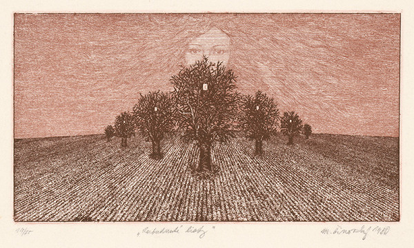 Martin Činovský – Zabudnuté listy 