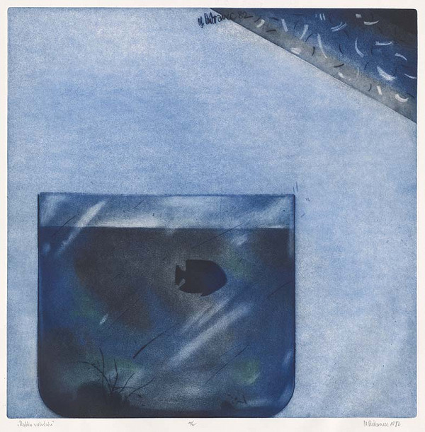 Marcel Dúbravec – Rybka v akváriu 