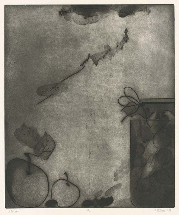 Marcel Dúbravec – V komore 