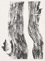 Ivan Štubňa – Ján Hollý, list II. 