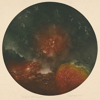 Terézia Kružlicová – Červený signál 