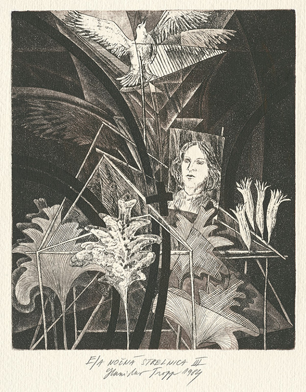 Stanislav Tropp – Nočná strelnica III. 