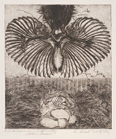 Terézia Kružlicová – Maco Mlieč 