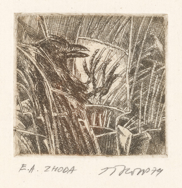 Stanislav Tropp – Zhoda 