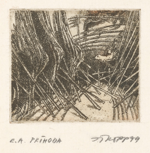 Stanislav Tropp – Príhoda 