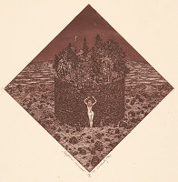 Martin Činovský – Zbytočná nečinnosť 