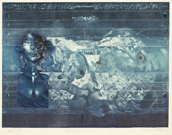 Robert Brun – Dáma v modrom 