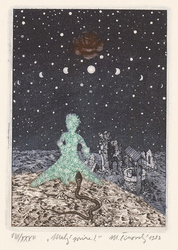 Martin Činovský – Malý princ I. 