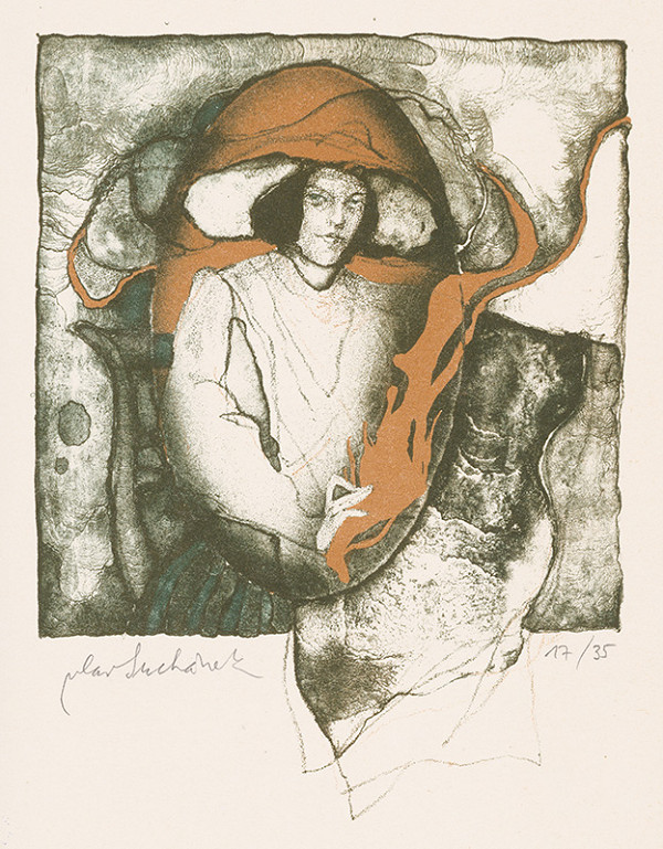 Vladimír Suchánek – Zastavenie času 